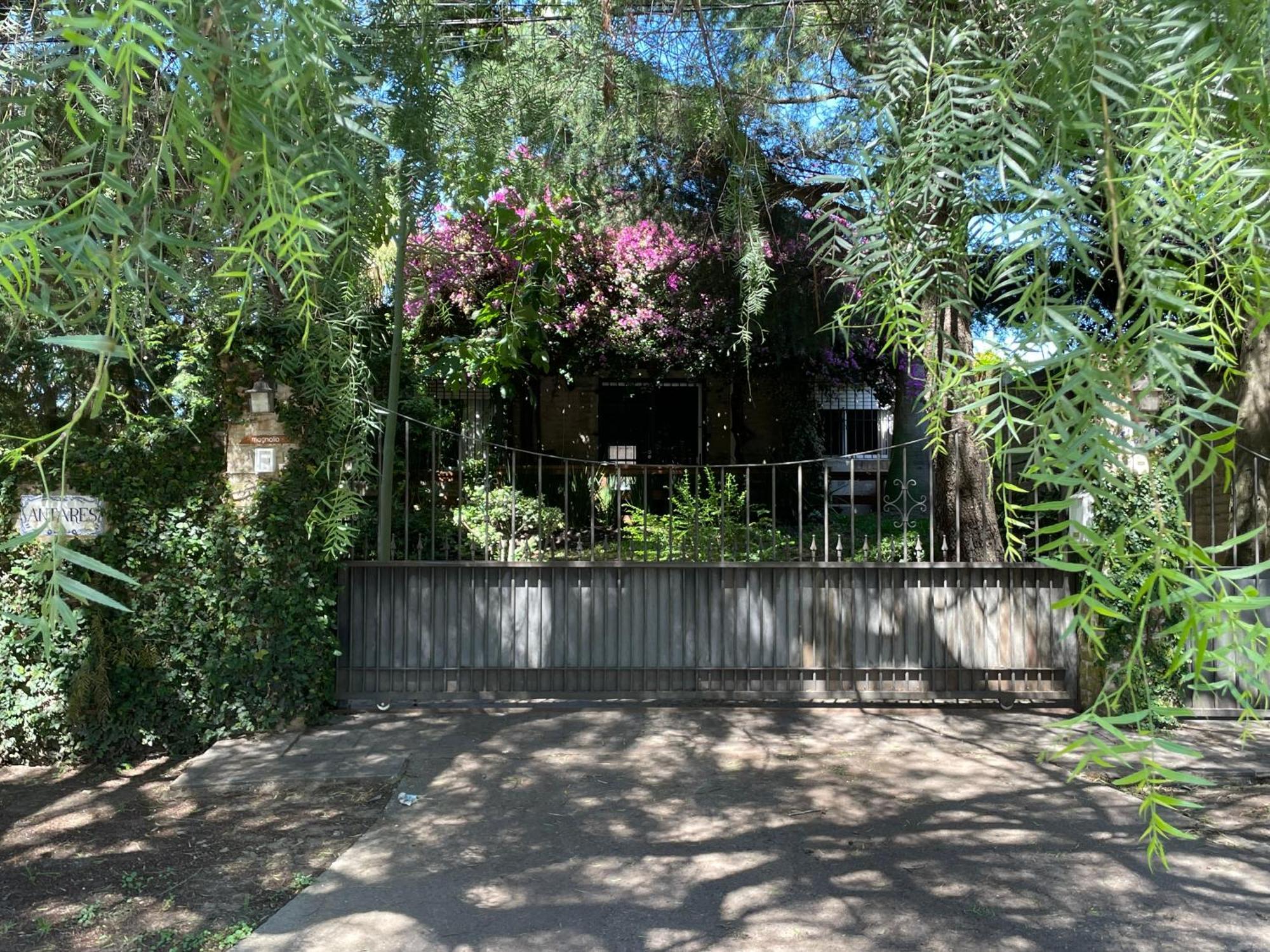 Apartamento Magnolio Colonia Del Sacramento Exterior foto